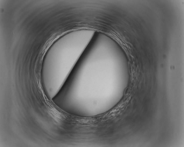 X0000086340241200703301004