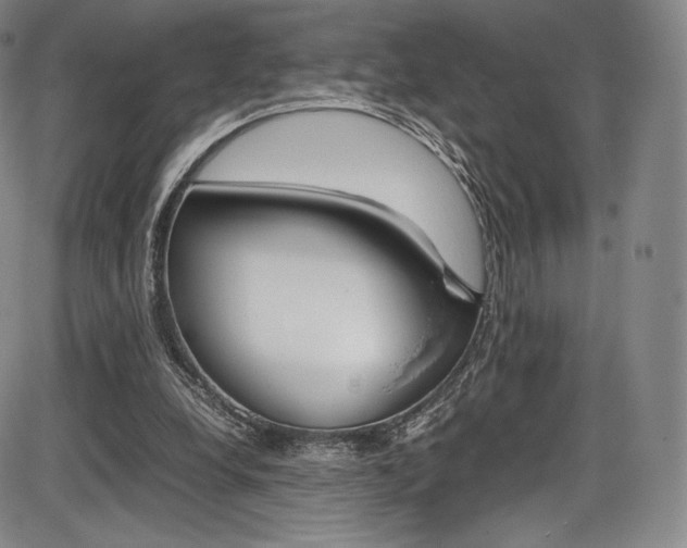 X0000086340248200703301004