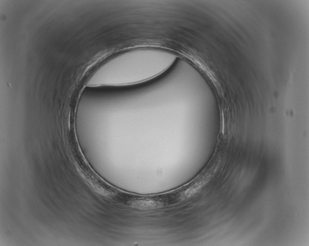 X0000086340253200703301004