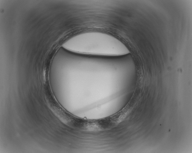X0000086340262200703301004