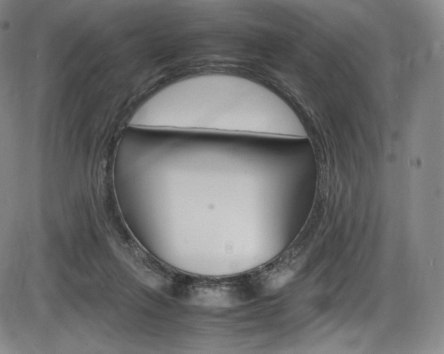 X0000086340263200703301004