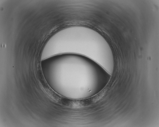 X0000086340264200703301004