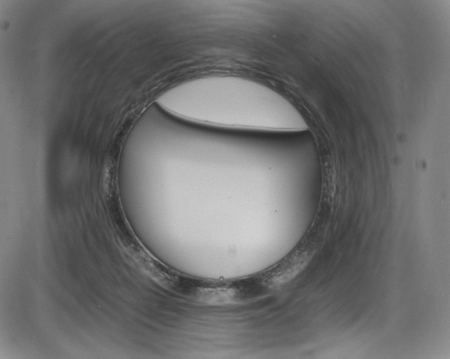 X0000086340266200703301004
