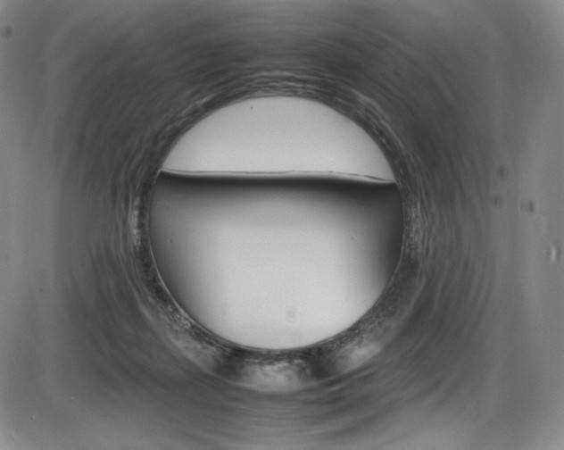 X0000086340267200703301004