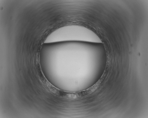 X0000086340272200703301004