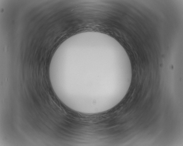 X0000086340276200703301004