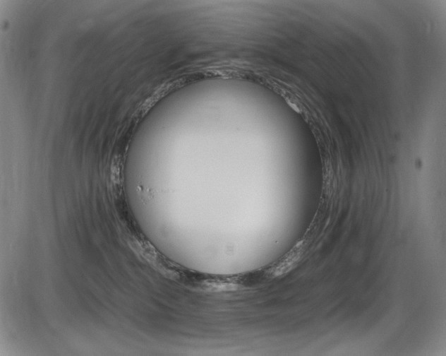 X0000086340284200703301005