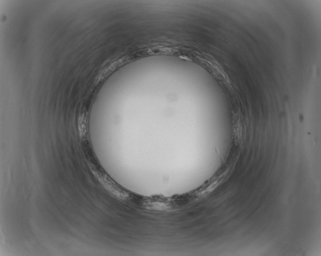 X0000086340285200703301005
