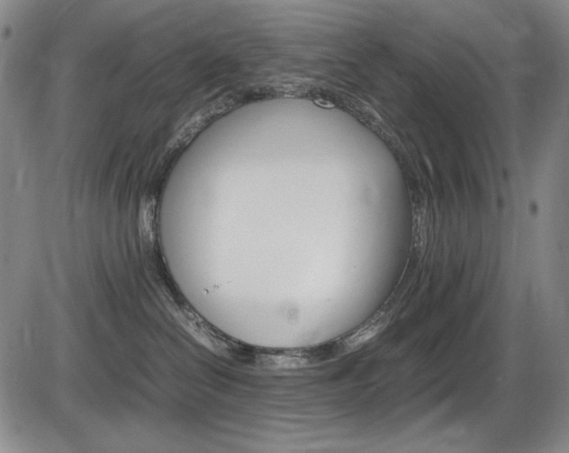 X0000086340286200703301005