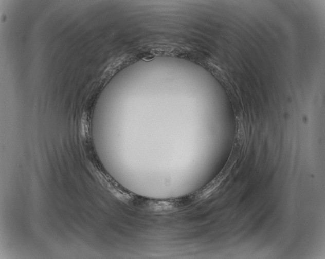 X0000086340287200703301005