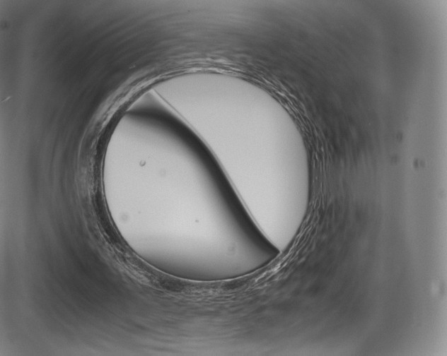 X0000086340291200703301004