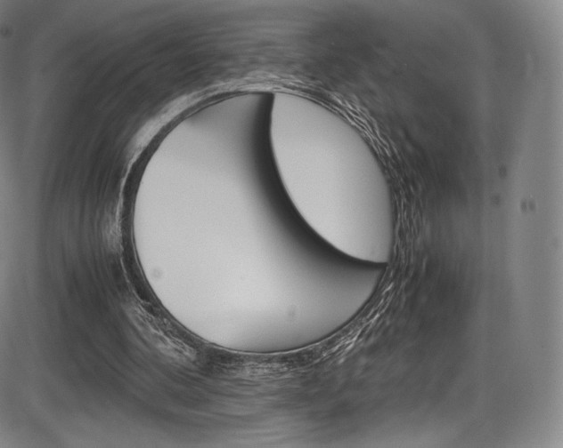 X0000086340292200703301004