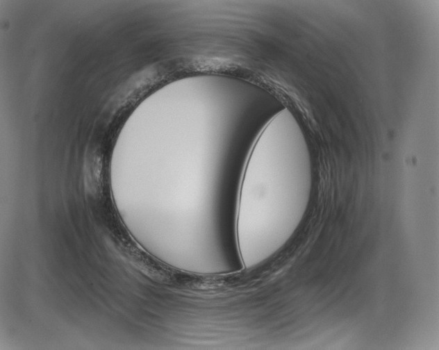 X0000086340308200703301003
