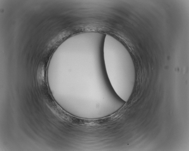 X0000086340310200703301003