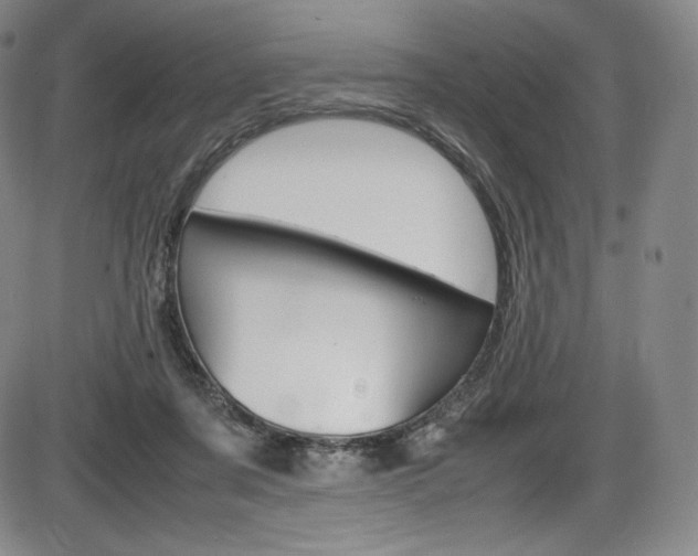 X0000086340311200703301003