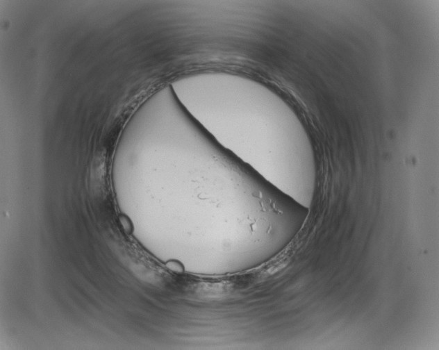 X0000086340314200703301003
