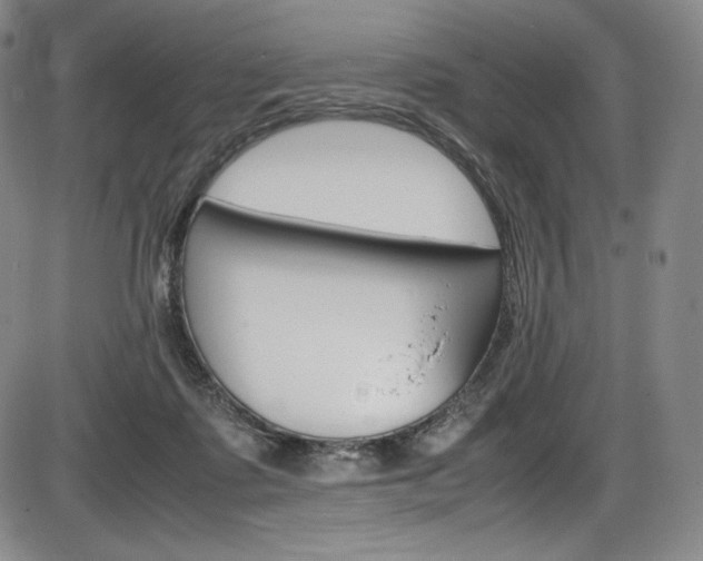 X0000086340315200703301003