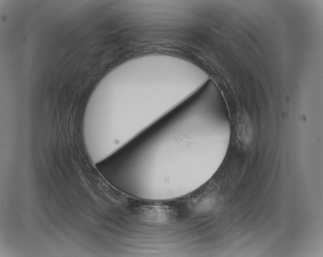 X0000086340316200703301003
