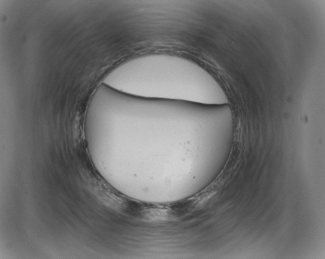 X0000086340318200703301003