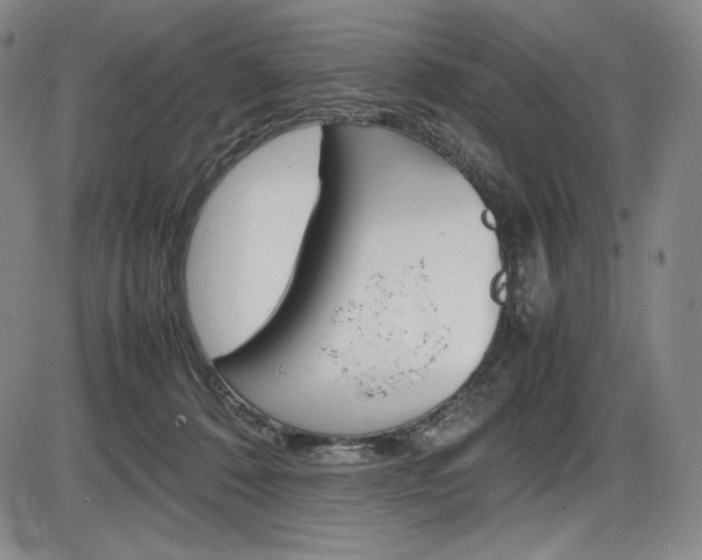 X0000086340320200703301003