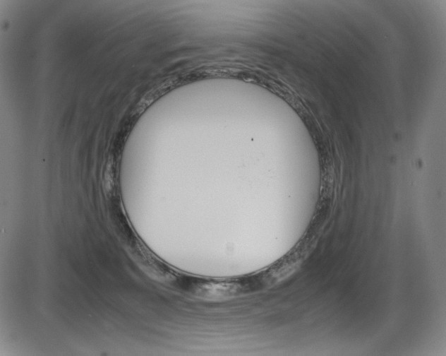 X0000086340323200703301003
