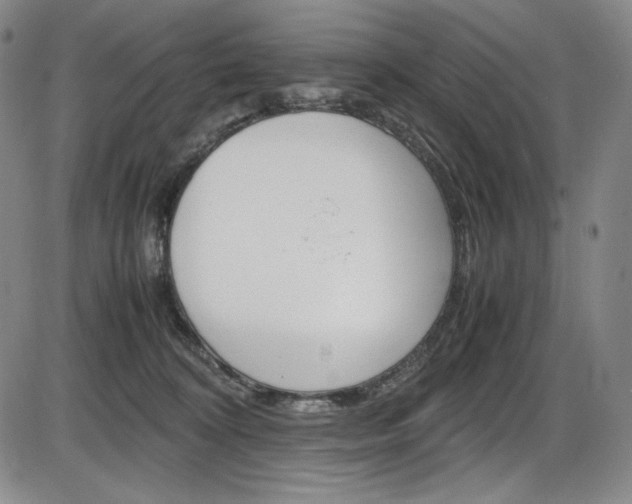 X0000086340324200703301003