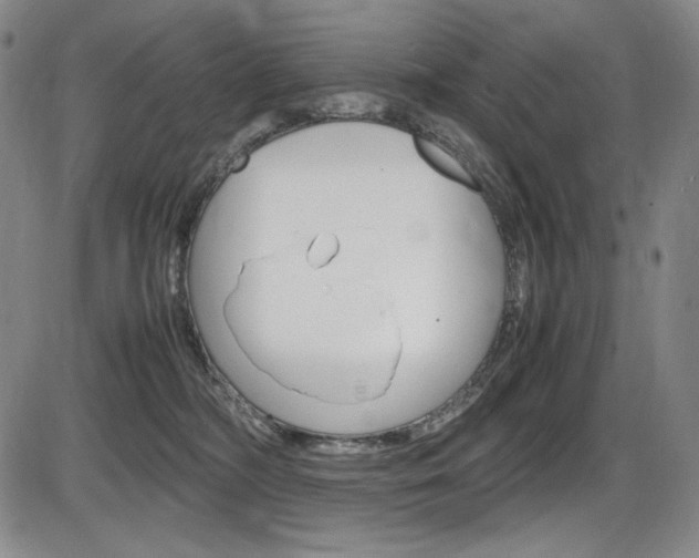 X0000086340326200703301003