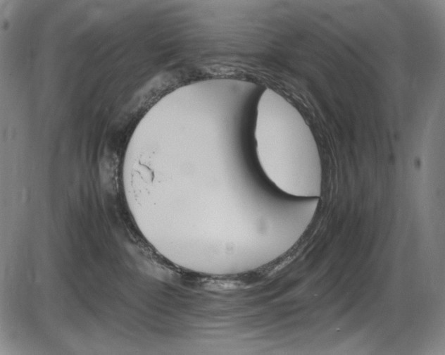 X0000086340332200703301003