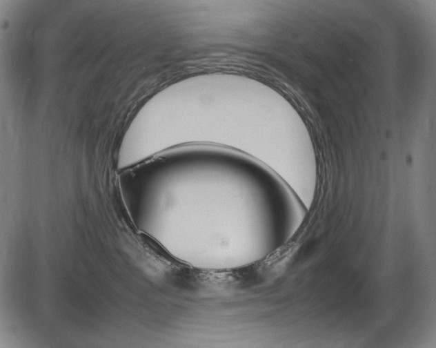 X0000086340333200703301003