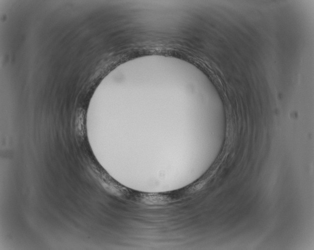 X0000086340336200703301003