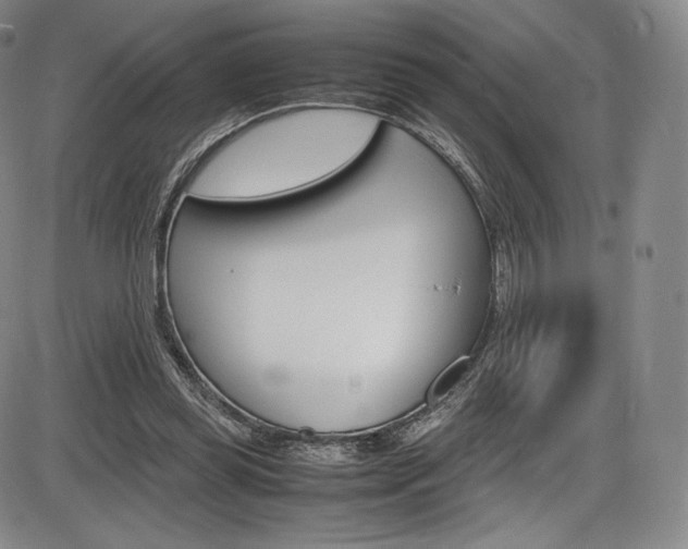 X0000086340349200703301002
