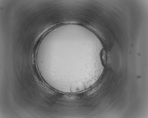 X0000086340351200703301002