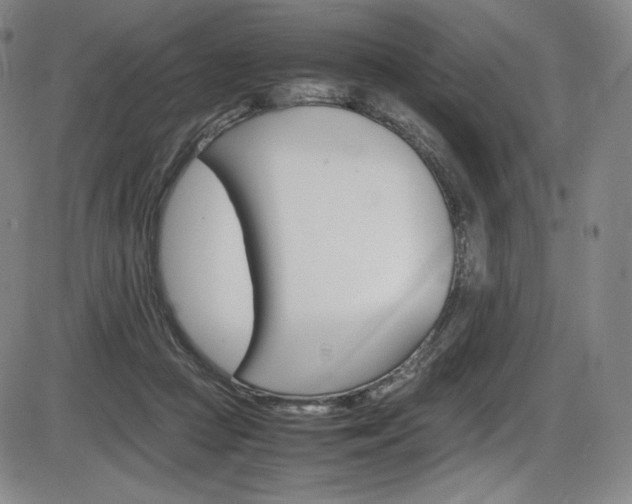 X0000086340361200703301003