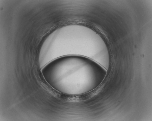 X0000086340362200703301003