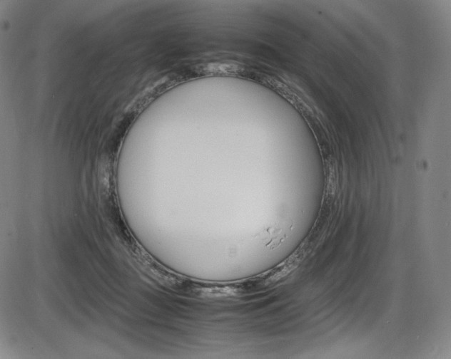 X0000086340363200703301003
