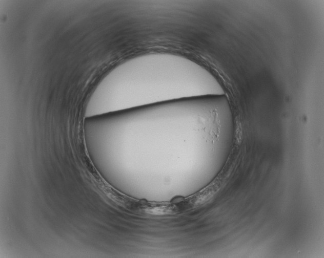 X0000086340365200703301003