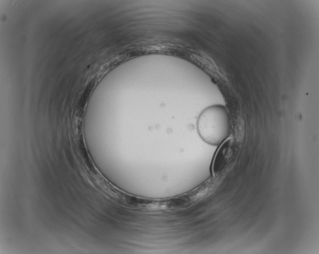 X0000086340366200703301003