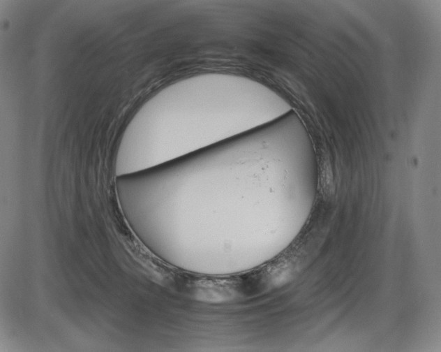 X0000086340367200703301003