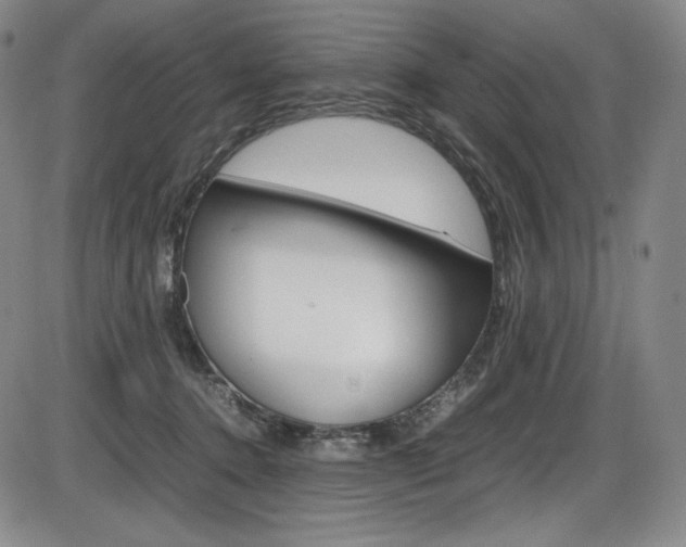 X0000086340368200703301003