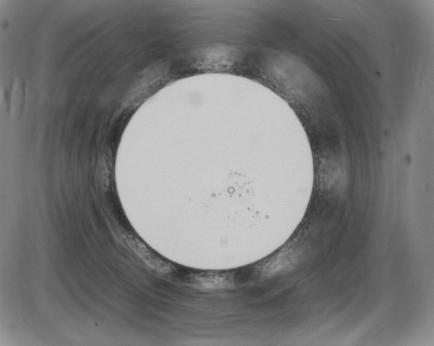X0000086340370200703301003