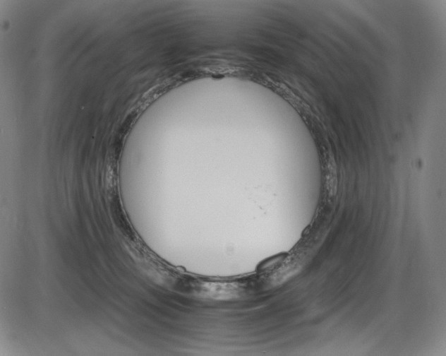 X0000086340371200703301003