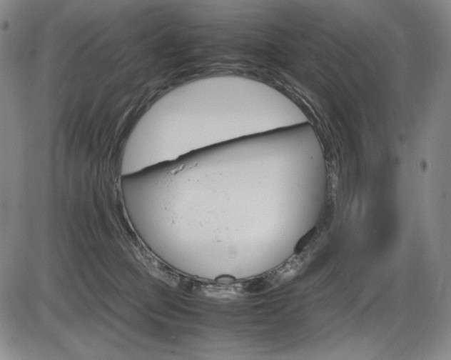 X0000086340373200703301003