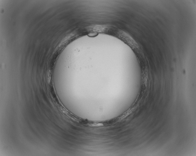 X0000086340374200703301003