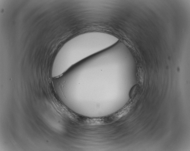 X0000086340378200703301003