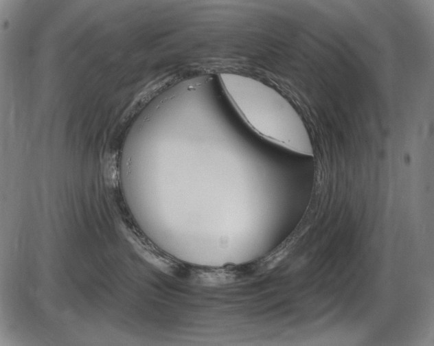 X0000086340383200703301003