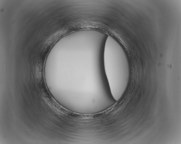 X0000086340402200703301002