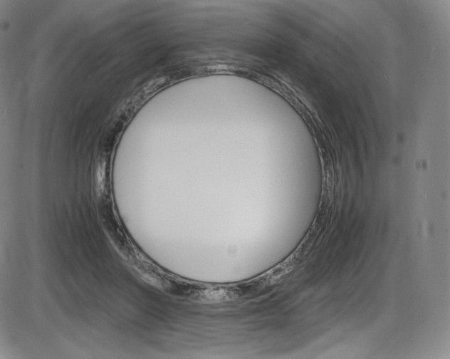 X0000086340406200703301002