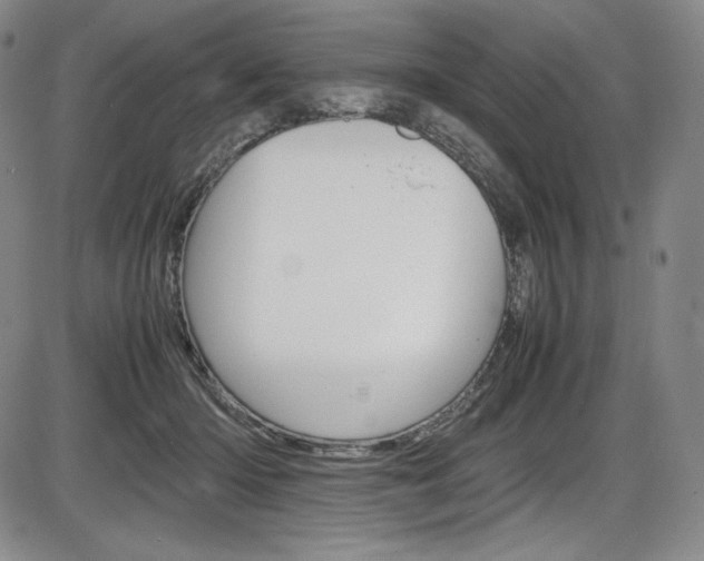 X0000086340414200703301002