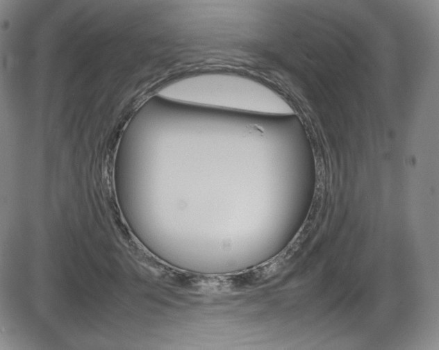 X0000086340415200703301002