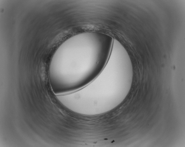 X0000086340416200703301002